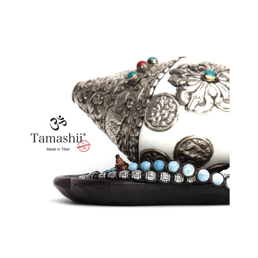 Tamashii Tibet