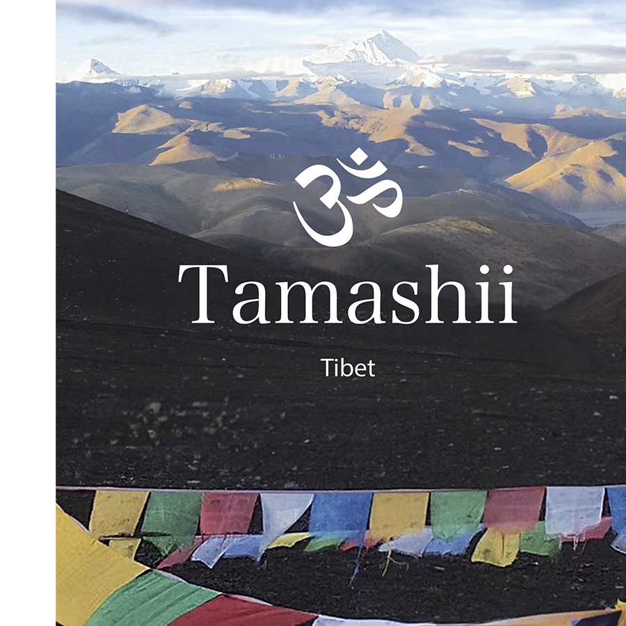 Tibetan Prayer Flags